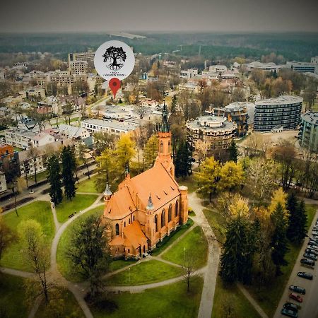 Inga Vacation House Друскининкай Экстерьер фото