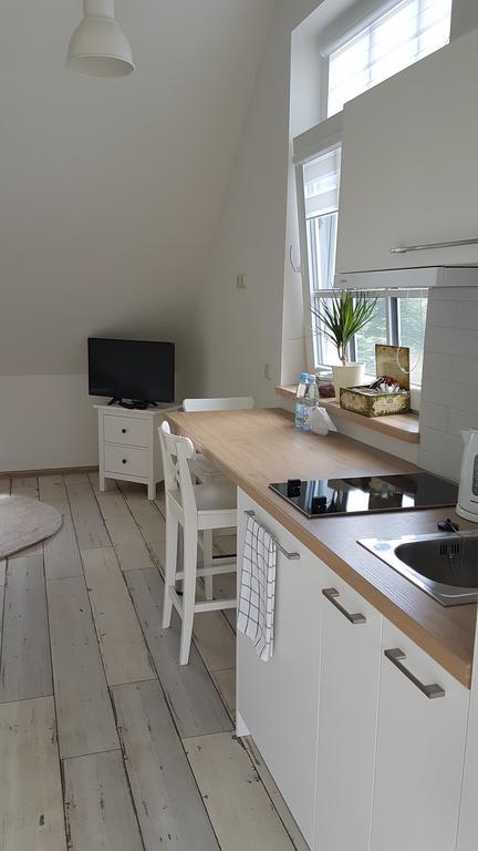 Inga Vacation House Друскининкай Экстерьер фото